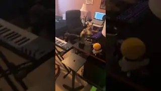 There’s no way 😂 #musicproducer #producer #beatmaker #beats #flstudio #music #producermemes