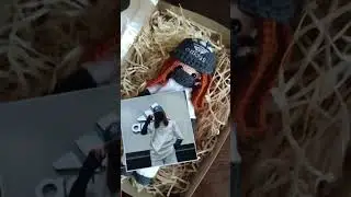 Вот это сходство 😯 