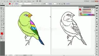Color on any shape in Illustrator