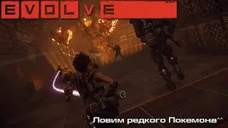 Evolve l Ловим редкого Покемона^^ l