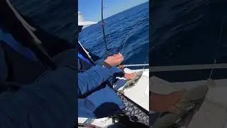 It f***ing bit me  
