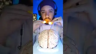 ASMR 🧠 BRAIN TINGLES WITH MAGIC FINGER  