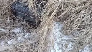 НАШЁЛ СТАРЫЙ ТЕЛЕВИЗОР! В ЗАРОСШИХ МЕСТАХ!!!