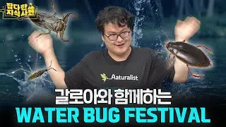 권은비만큼 소중한 갈로아와 수서곤충의 세계로🪲