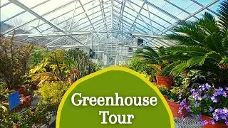GREENHOUSE TOUR! Come on a tour of the College Horticulture Campus Greenhouse!