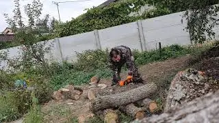 Первый раз в жизни пилю бензопилой. Stihl MS170 новый, еще на обкатке.