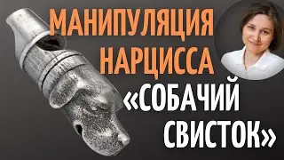 Манипуляция нарцисса «Собачий свисток». Реальная история.