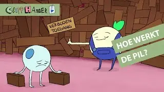 Hoe werkt de pil?