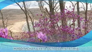 ЖИВОПИСНАЯ БУХТА ОСТРОВА ПУТЯТИНА