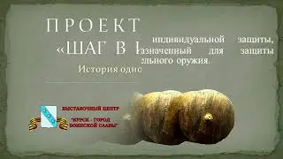 Шаг в историю. Щит