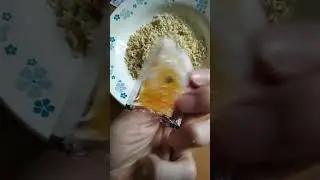 НОВЫЙ ДИЗАЙН ПОДСОЛНЕЧНОГО МАСЛА В ЛАПШЕ БЫСТРОГО ПРИГОТОВЛЕНИЯ / РОЛЛТОН / РЕДИЗАЙН / ДАВНО НЕ ЕЛ