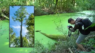 Tijd voor een nieuwe serie - Gurushot #1(NL)