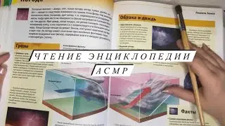 ASMR | Чтение энциклопедии АСМР | Жвачка + кисточка | Близкий шепот