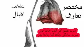 essay on iqbal urdu poet {exam me in se related kai questions aate hai } iqbal life sketch iqbal day