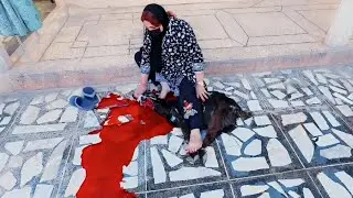 How To Slaughter A Goat.By Gull Baji 
