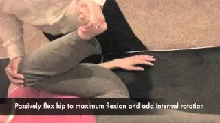 Maximum Flexion Internal Rotation Test (CR)
