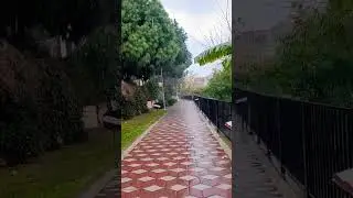 RAINY DAY #rain #rainyday #rainy #rainsounds #raining #rainsound #citywalk #walking #walk #park