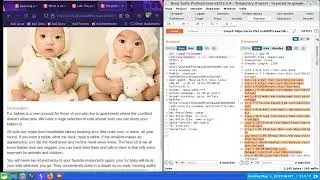 SST 1 : DIRECTORY TRAVERSAL | (complete tutorial)