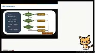 Python Conditional Statements A Beginners Guide