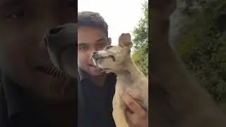 This how i made two friends in kufri shimla.......