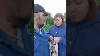 ну как я тебе? понравился?