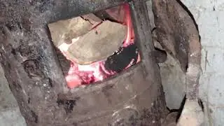 Отсаживаем поросят остатки с 3х. выводков. и также зерно зерно зерно