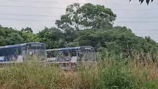 發現國光號 灰狗巴士