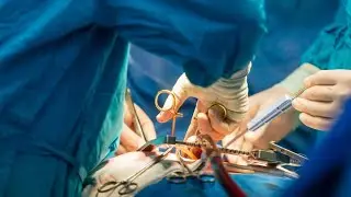 Ross Procedure after Explantation of Failed Transcatheter Aortic Valve Replacement