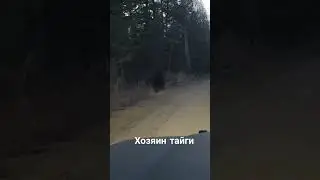 Хозяин тайги