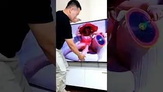 Funny Videos Compilation 😂 #shorts #memes #comedy