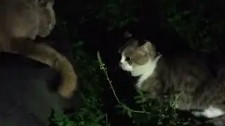вася на расп@льцовке