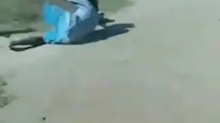 Épica pelea perro vs humano