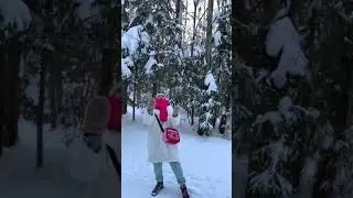 Сертолово. Февраль. Снег.
