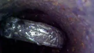 ABANDONED  (found Nazi Waffen SS Ring) endoscope camera view