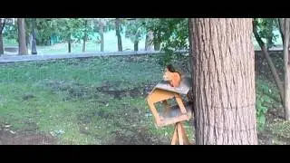 Белка грызет орехи в кормушке.