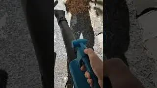 Use a wind blower Don't use a broom  #shorts #shortsvideo