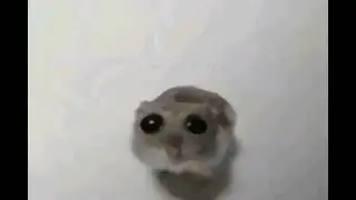 ну я