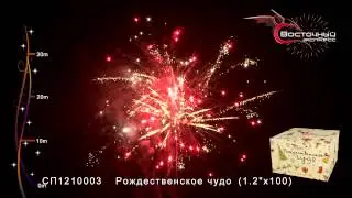 СП1210003 Рождественское чудо