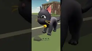 Хотите ещё видео про Симбу?🐱 