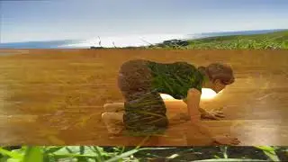 CO-EXISTENCE CRAWL by MpowerDance Project
