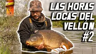 LAS HORAS LOCAS DEL VELLÓN #2. ***CARPFISHING TV***
