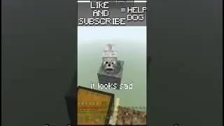 Save dog minecraft shorts 