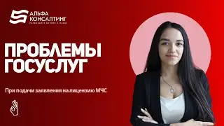 Проблемы госуслуг: При подачи заявления на лицензию МЧС