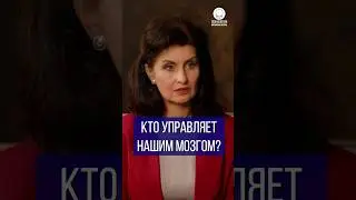 Кто управляет нашим мозгом?