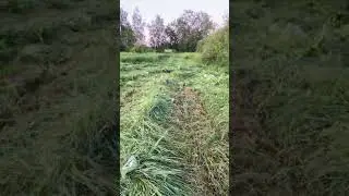 Нож для триммера,брать или не брать.