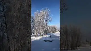 A Walk in Dave Rose Park , Anchorage  Alaska