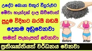 කස කසා ඇට මේ විදිහට ආහාරයට එකතු කරගන්න Benefits of Basil Seeds - kasa kasa ata - Sonduru Diviya