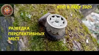 Коп в лесу 2020. Поиск перспективных мест.