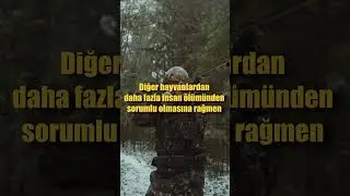 Dünyanın En Tehlikeli Hayvanı!! 