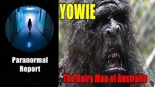 The Yowie